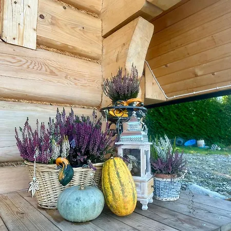 Salamonki Kościelisko