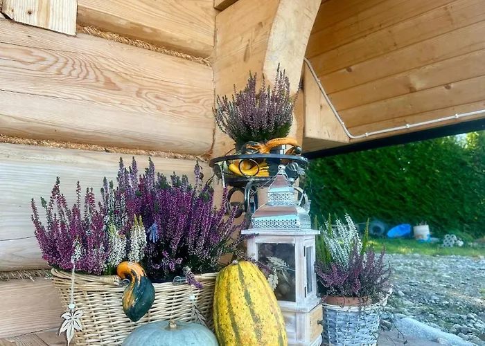 Salamonki Kościelisko