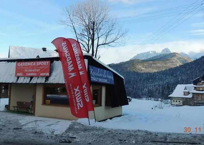 Salamonki * Kościelisko